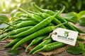 GREEN CHILLI