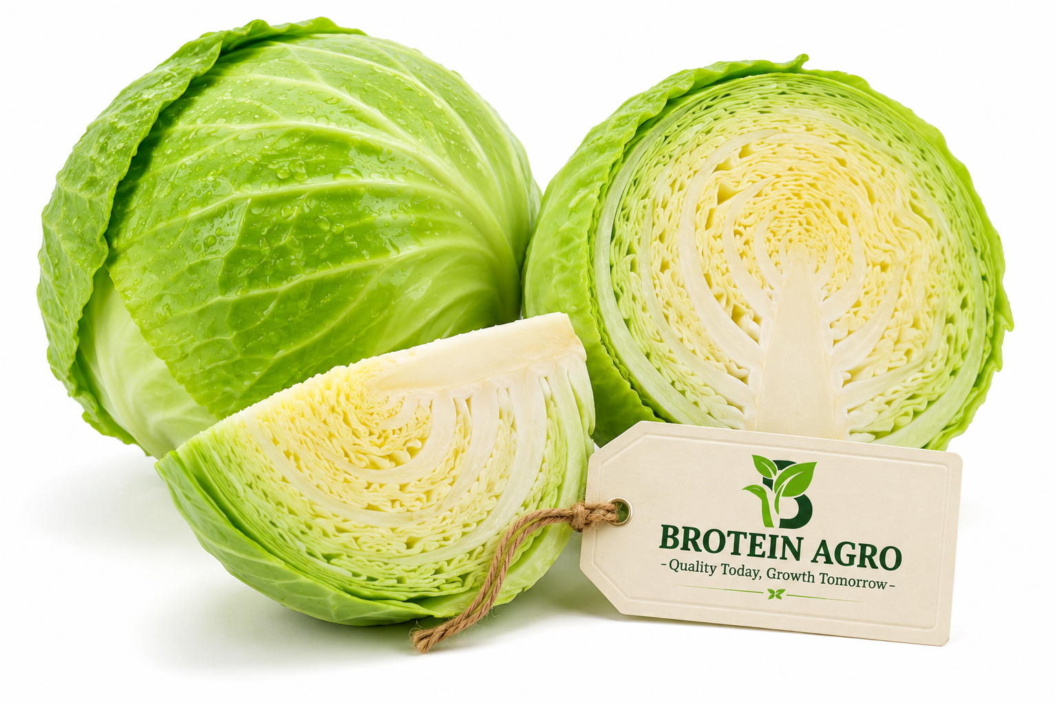 CABBAGE 1KG