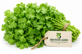 CORIANDER 100G