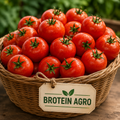 TOMATO 1KG