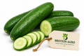CUCUMBER 1KG