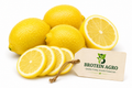 LEMON 10 PCS