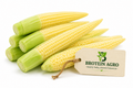BABY CORN 1KG