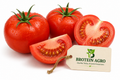 TOMATO 1KG