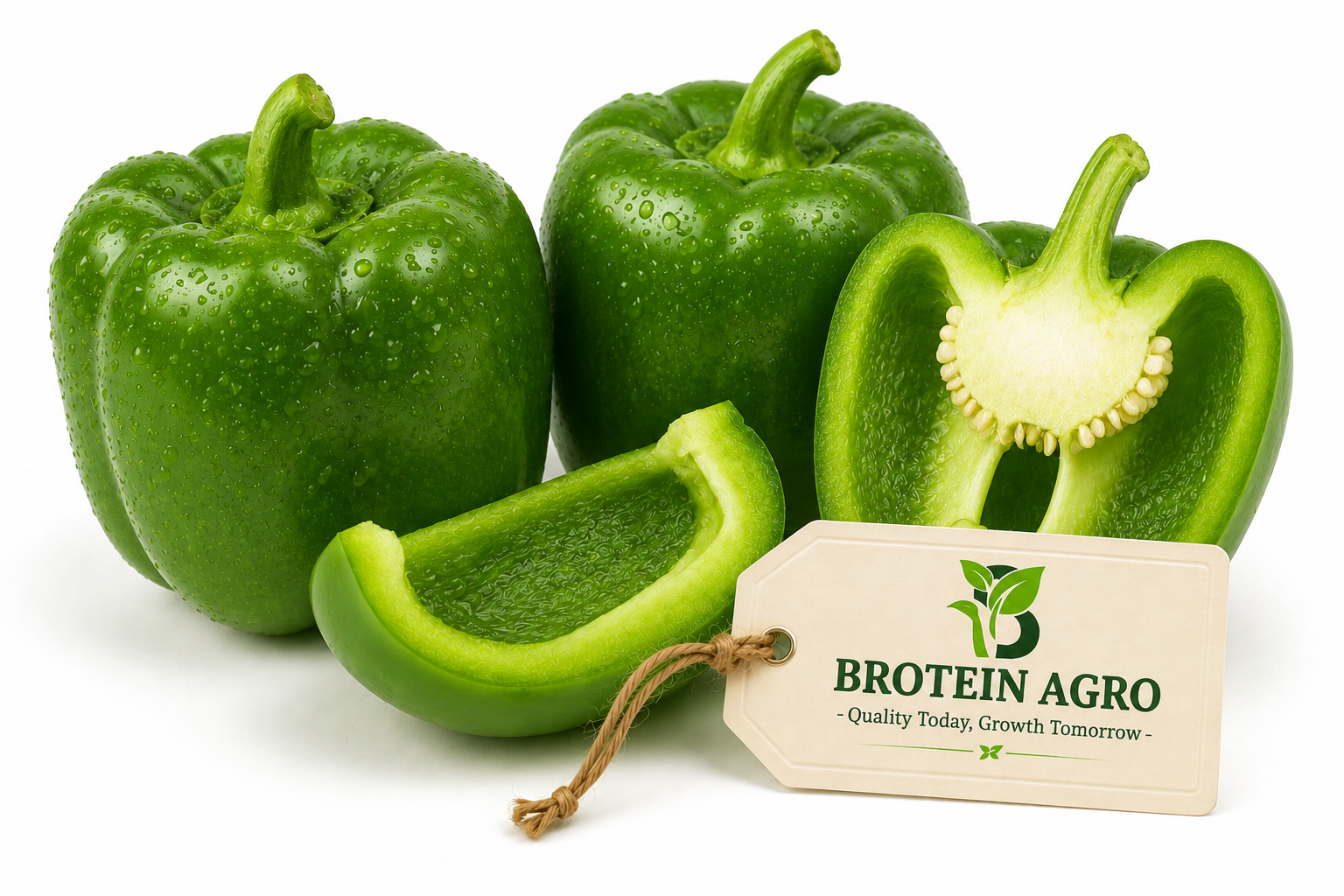 GREEN SHIMLA 500G